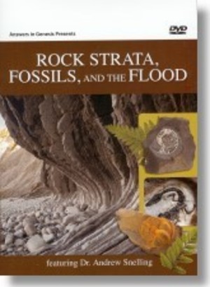 Rock Strata, Fossils and the Flood